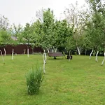 Solomiia